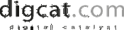 Digital Catalyst